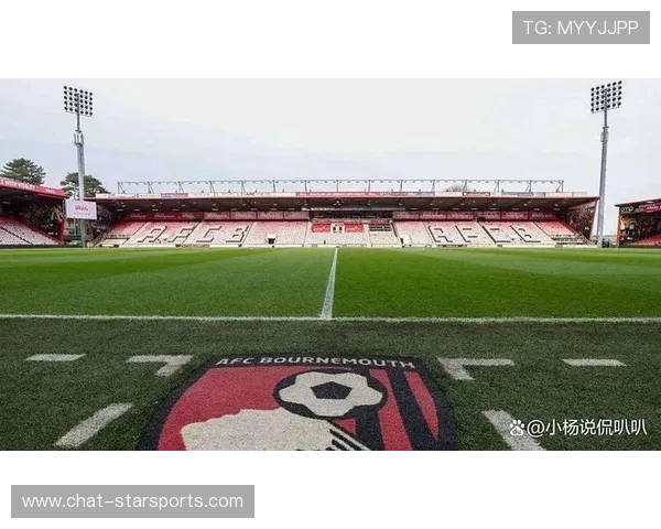 伯恩茅斯俱乐部最新动态解析球队未来发展与转会策略